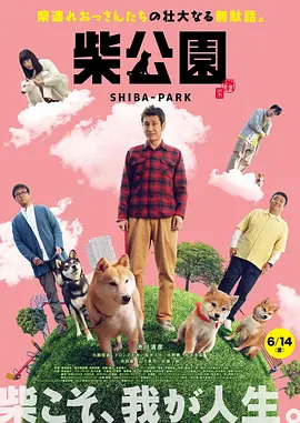 成人高清