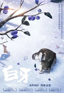 今年双十一几号开始