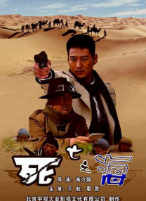 精品视频入口