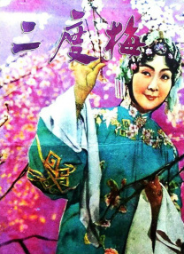 久久99精品久久久久久综合